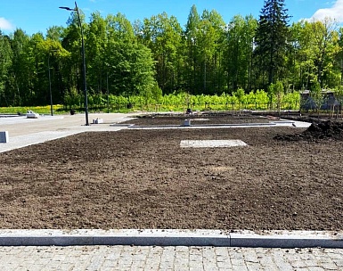 Хозяйственный р-н. Дендропроект. Устройство огородов.